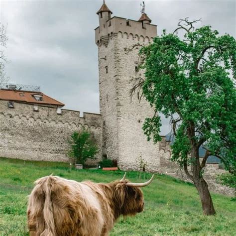 museggtürme namen|Museggmauer und ihre neuen Türme 